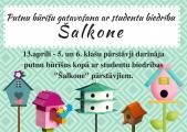 1. Attēls